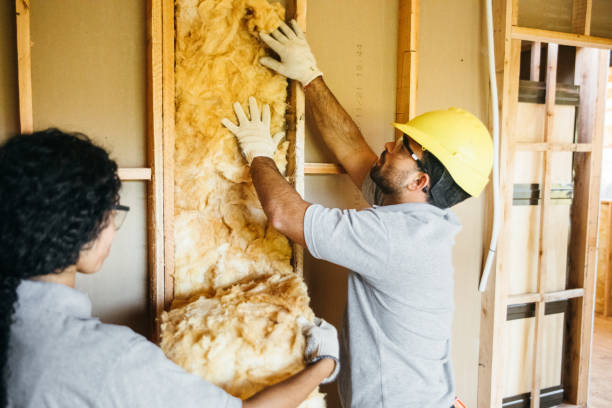 Best Insulation Contractor Near Me  in USA